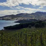 Cap D Osne - Sur - 2mn * 滨海巴纽尔斯