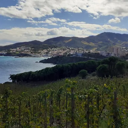 Cap D Osne - Sur - 2mn * Banyuls-sur-Mer
