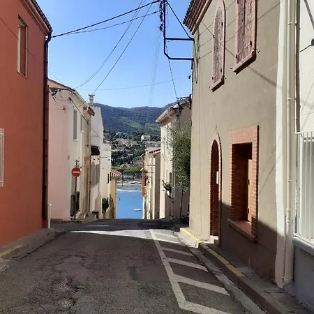 Cap D Osne - Appart 40 M2 Climatise 2Mn Plage Et Ville * Banyuls-sur-Mer